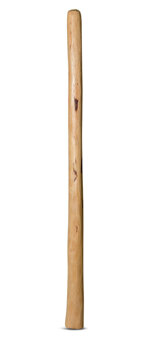 Medium Size Natural Finish Didgeridoo (TW528)